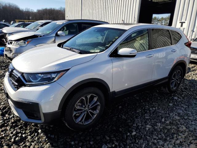 Honda CR-V EXL 1.5 кроссовер 2022