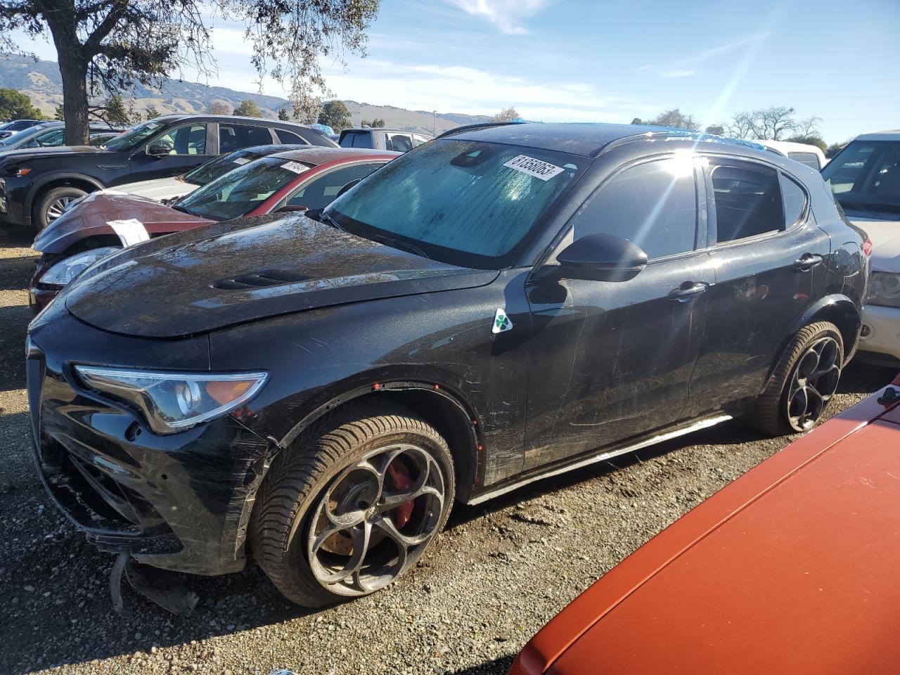 Alfa Romeo Stelvio QU 2.9 2021