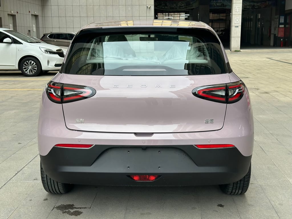 Xingyuan 2025 310km Youth Edition
