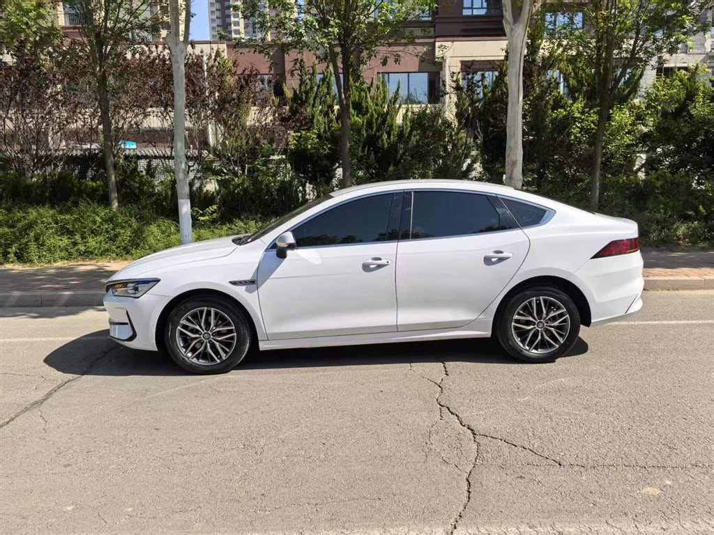 BYD Qin PLUS 2023 Champion Edition EV 420KM Leading