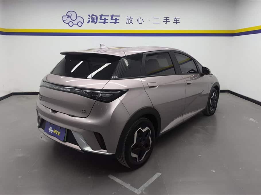 BYD Dolphin 2021 405km Freedom Edition