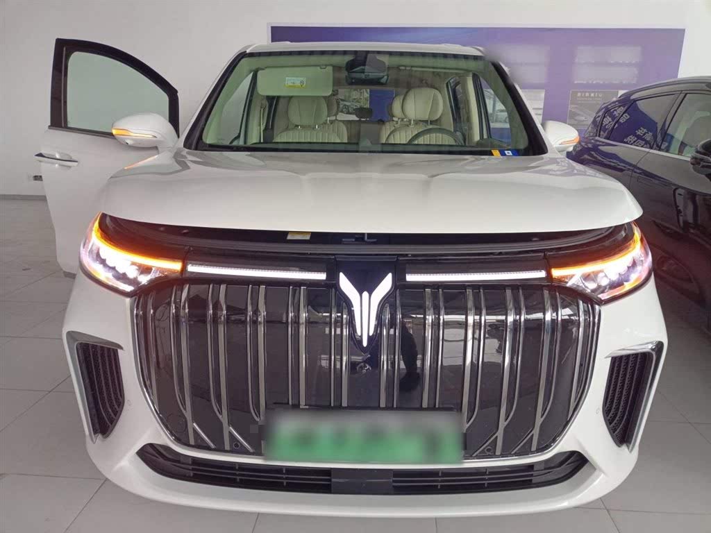 Voyah Dreamer EV Long Range Premium 2024
