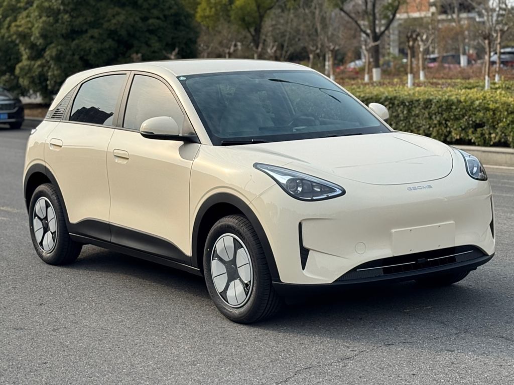 Xingyuan 2025 310km Youth Edition