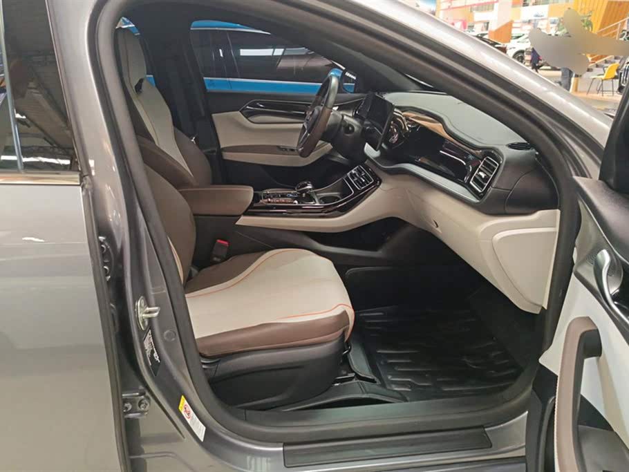 BYD Qin Plus 2023 Champion Edition EV 420KM Leading