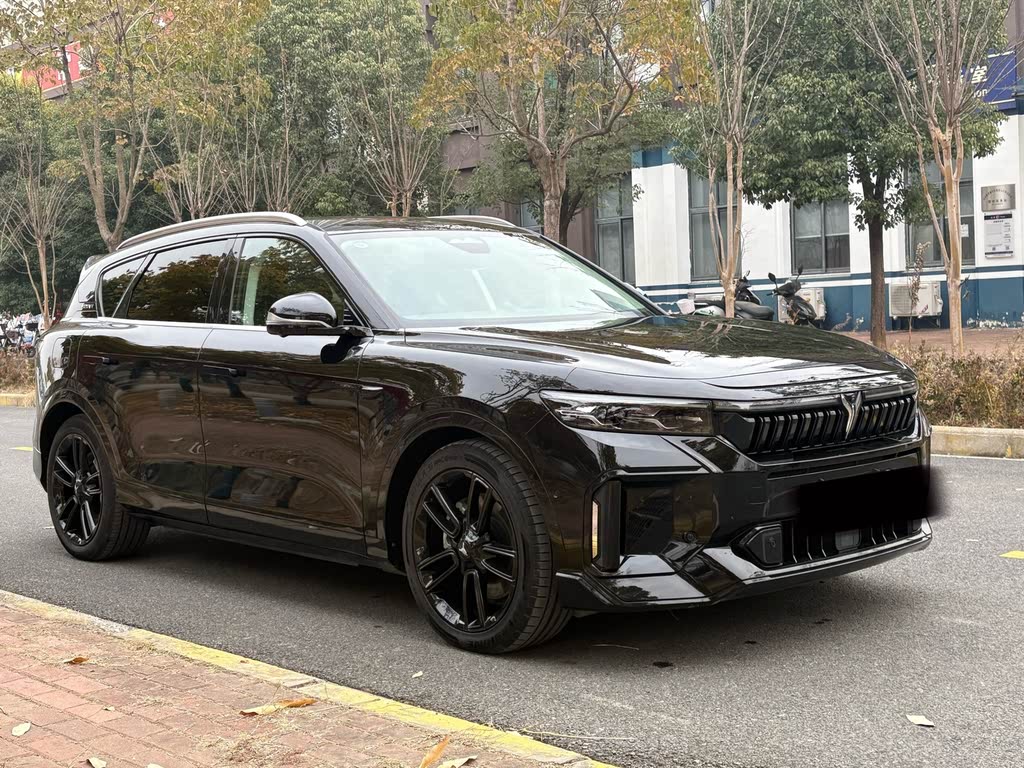 Voyah Free 2024 Long Range Intelligent Drive Edition