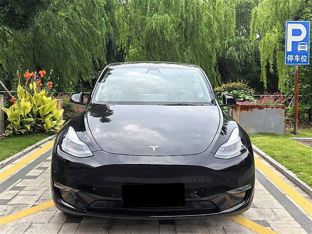 Tesla Model Y 2021 Standard Range RWD