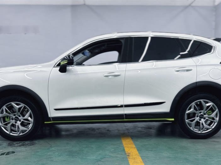 Haval Chitu 2022 1.5T Jingxiang Edition "Purple Copper Rabbit"