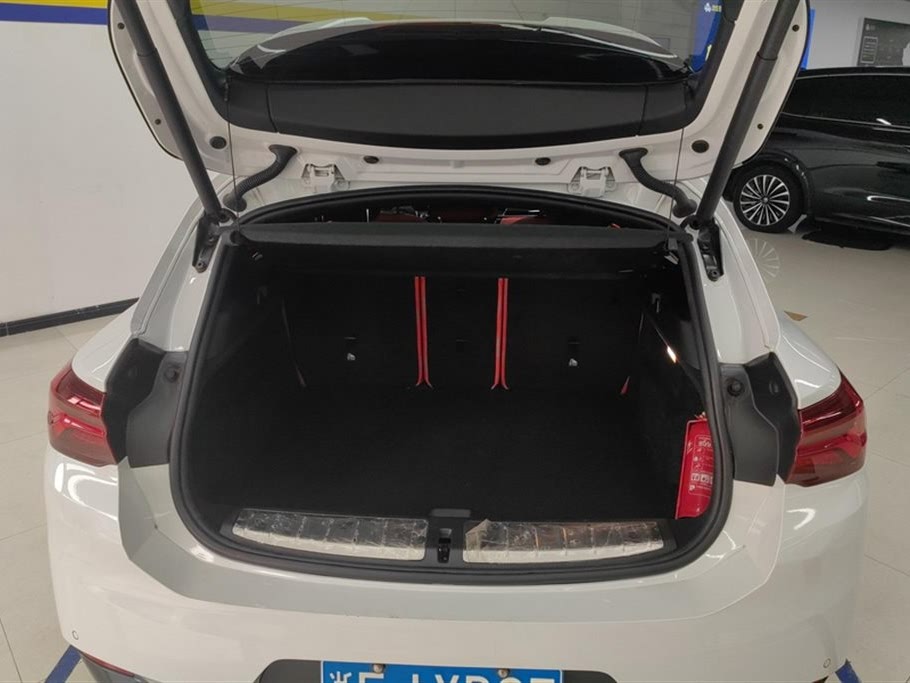 BMW X2 sDrive25i M Sport Package (2021)