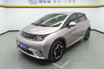 BYD Dolphin 2021 405km Freedom Edition