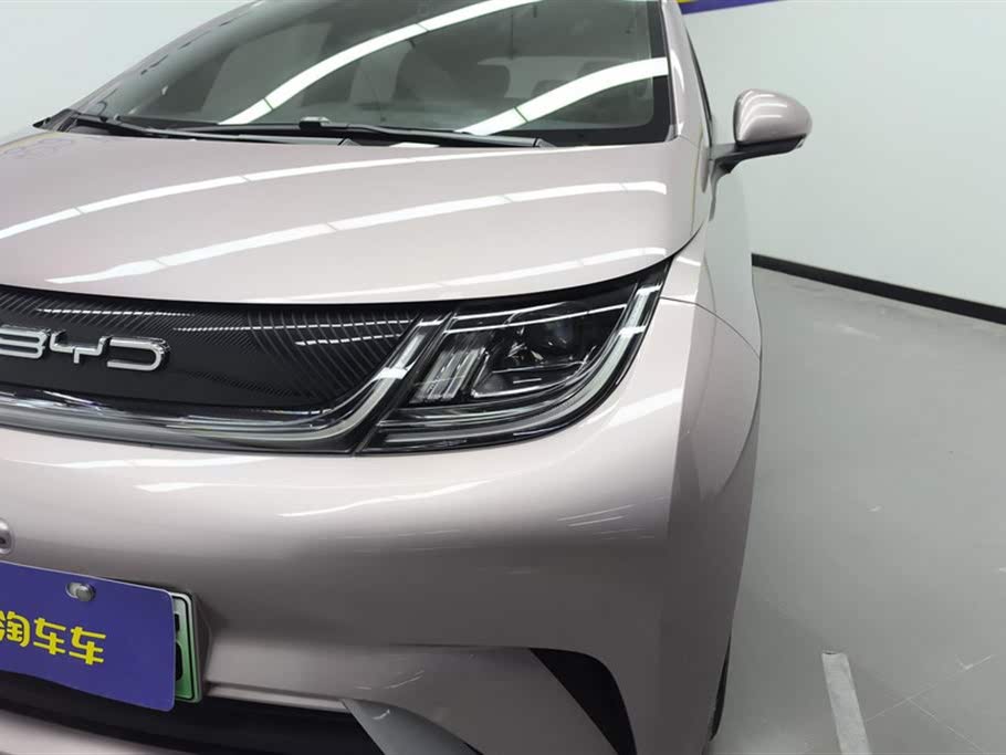 BYD Dolphin 2021 405km Freedom Edition