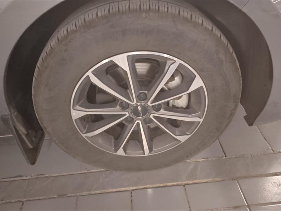 BYD Destroyer 05 (2024) Honor Edition DM-i 55KM Luxury