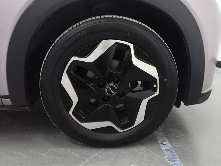BYD Dolphin 2021 405km Freedom Edition