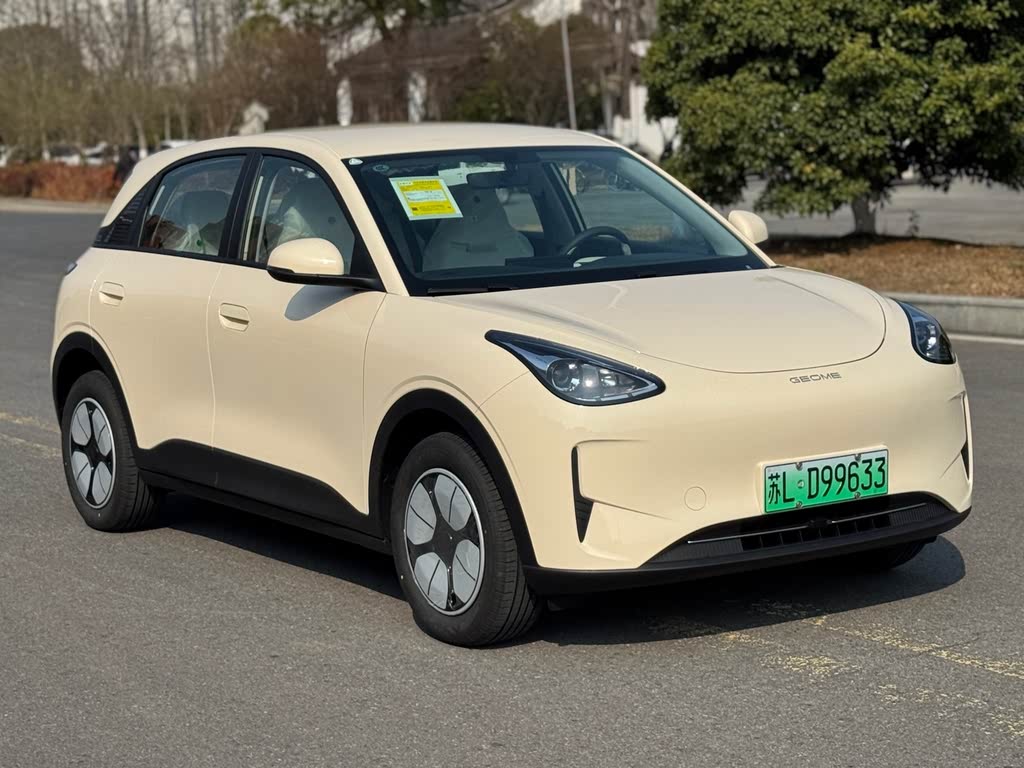 Xingyuan 2025 310km Youth Edition
