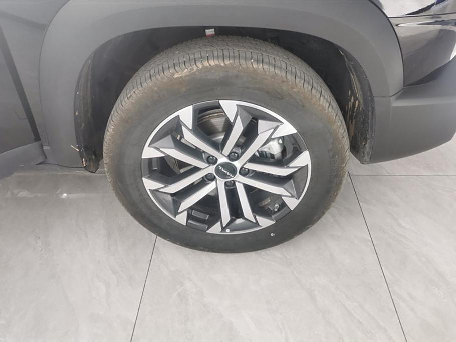 Haval Dargo 2024 1.5T DCT Border Collie Edition