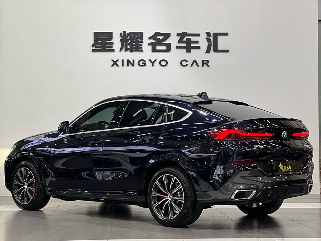 BMW X6 xDrive30i M Sport Package (2020)