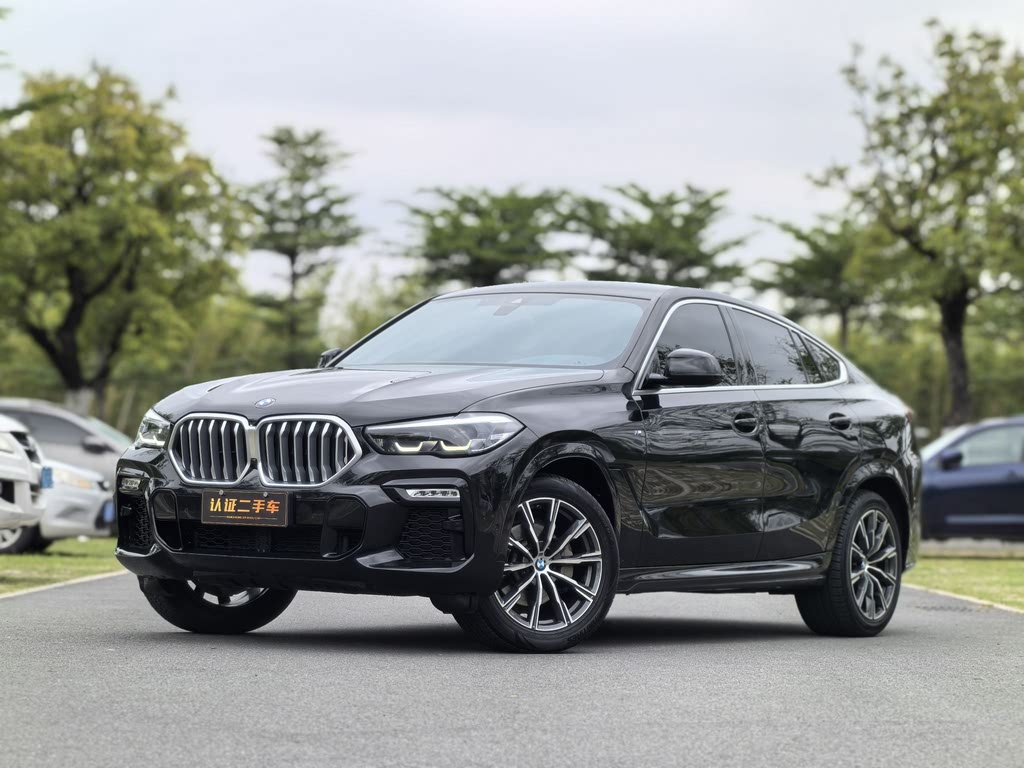 BMW X6 xDrive30i M Sport Package 2020