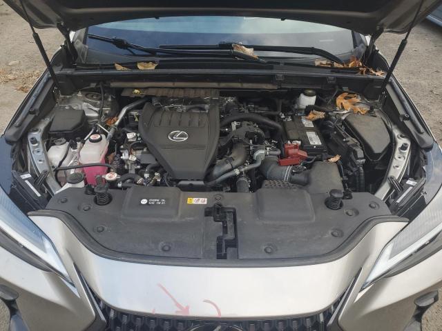 LEXUS NX 350 2022