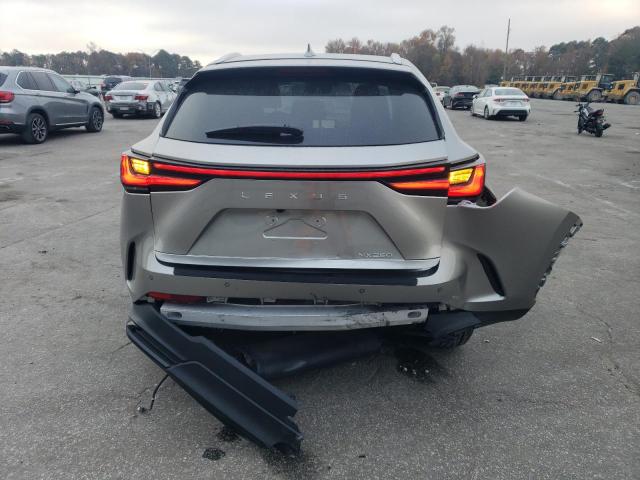 LEXUS NX 250 PREMIUM 2025
