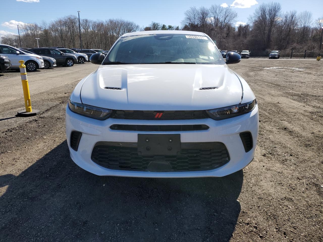 DODGE HORNET R/T 2024