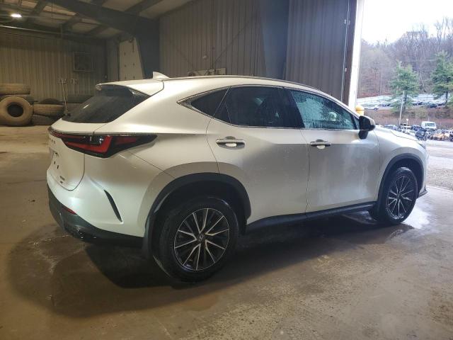 LEXUS NX 350 PREMIUM 2024