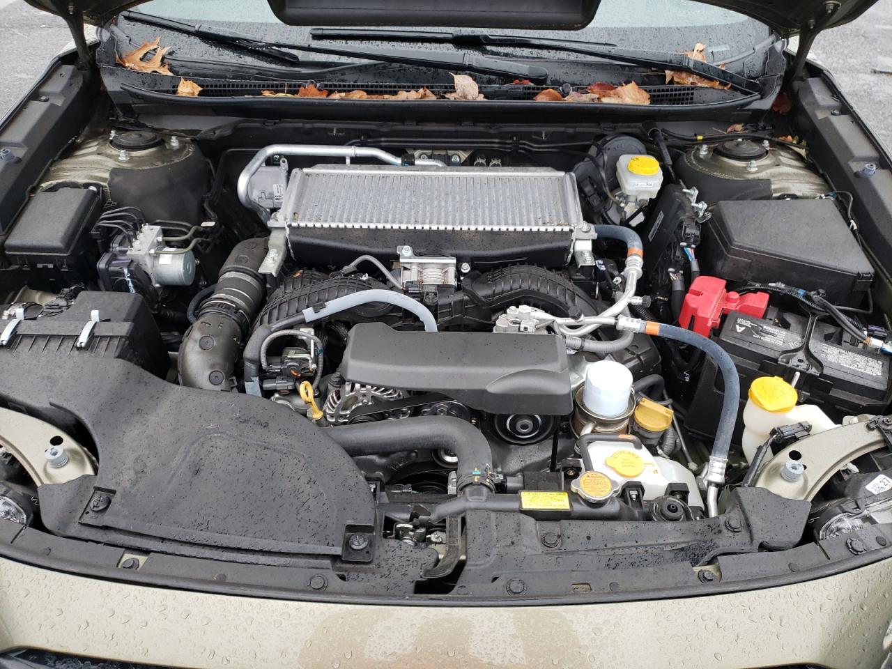 SUBARU OUTBACK WILDERNESS 2023