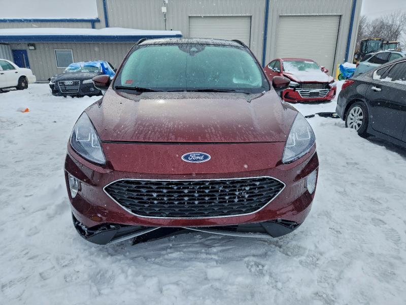 FORD ESCAPE SEL AWD 2021