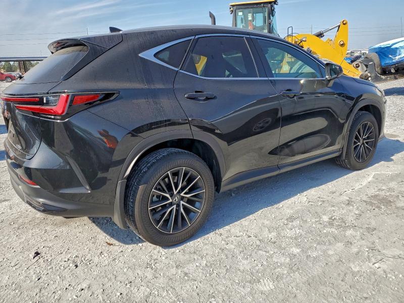 LEXUS NX 250 PREMIUM 2024