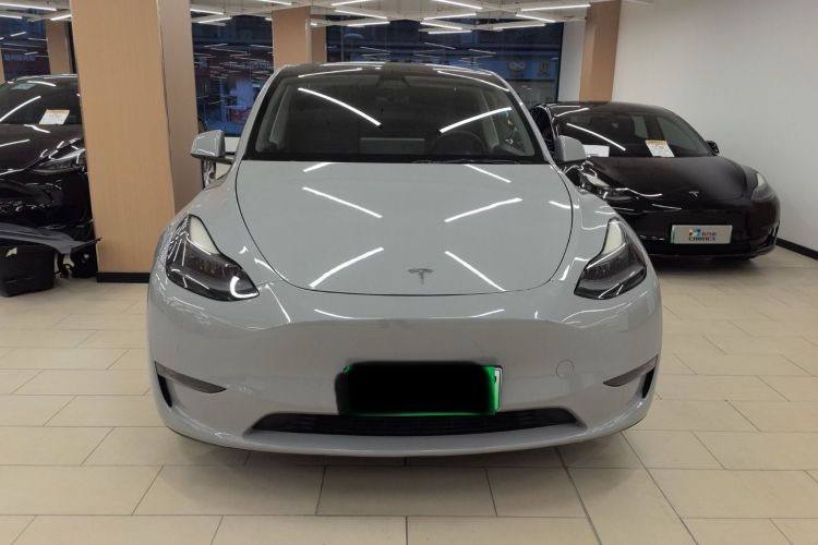 TESLA MODEL Y 2021