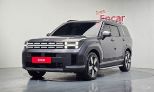 2024 Hyundai Santa Fe V (MX5) Gasoline 2.5T 4WD Prestige с пробегом 16 662 км