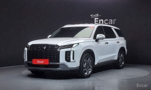 2024 Hyundai Palisade I Рестайлинг Diesel 2.2 2WD Le Blanc с пробегом 29 428 км