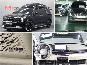 2024 Kia Carnival IV Рестайлинг HEV 9-Seater Hi-Limousine Signature с пробегом 33 608 км