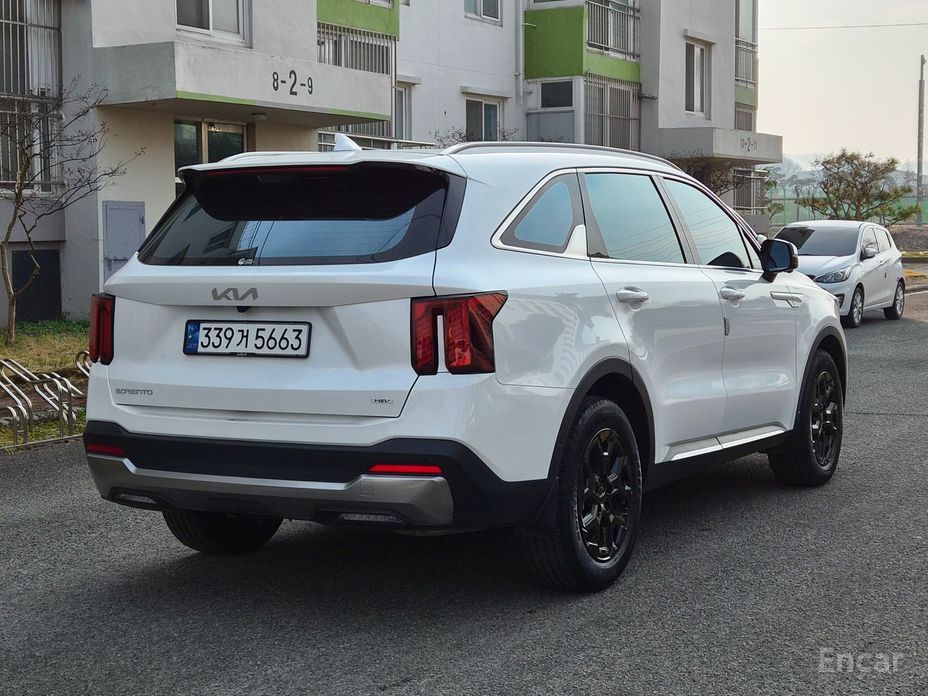 2024 Kia Sorento IV Рестайлинг HEV 1.6 2WD Signature с пробегом 24 515 км