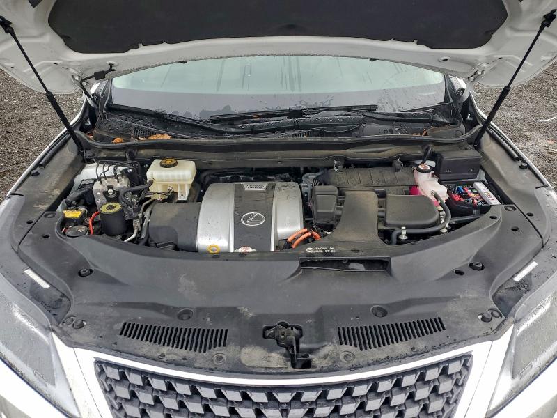 LEXUS RX 450H L 2021