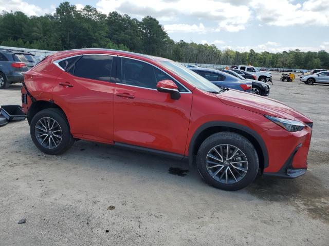 LEXUS NX 350H BASE 2024