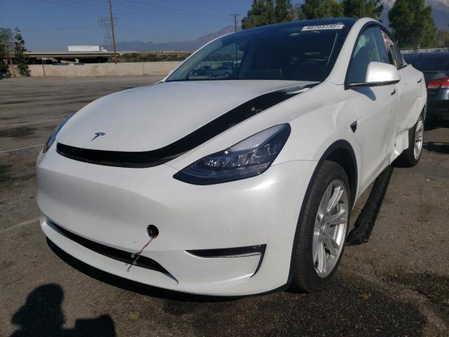 TESLA MODEL Y 2021