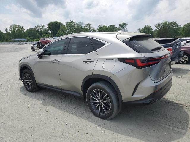 LEXUS NX 250 2022