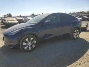 TESLA MODEL Y 2021