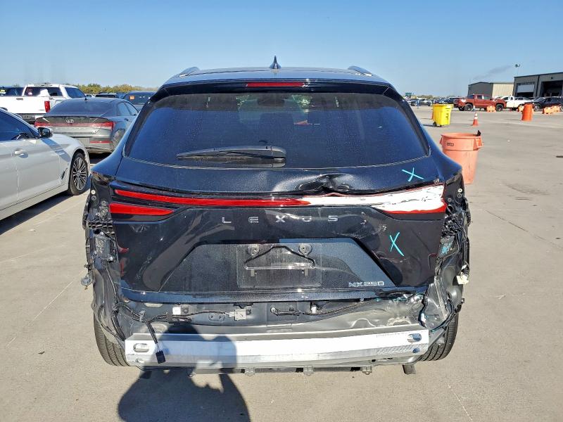 LEXUS NX 250 BASE 2024