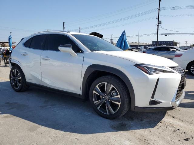 LEXUS UX 250H 2021