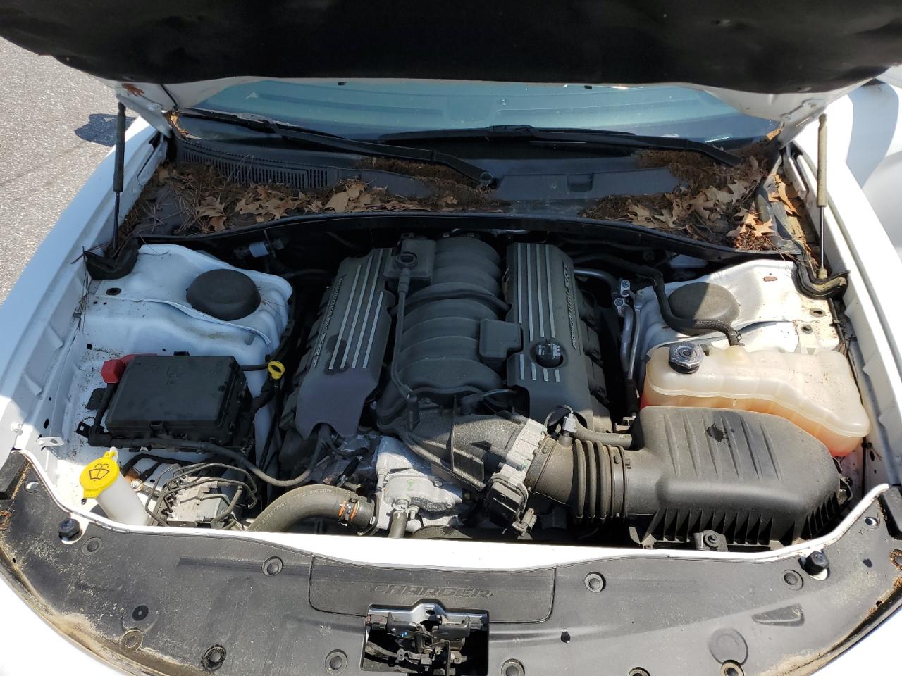 DODGE CHARGER SCAT PACK 2021