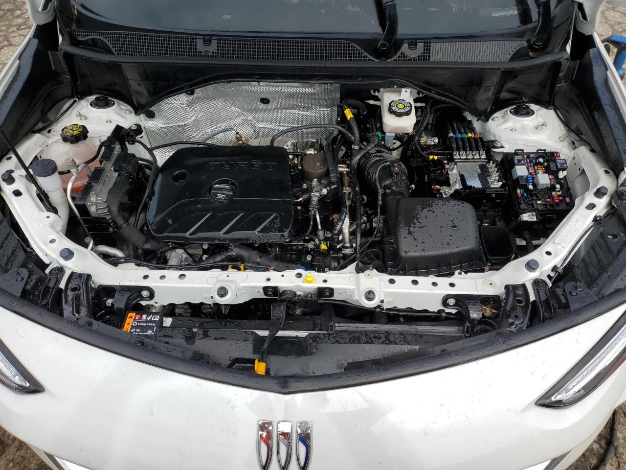 BUICK ENCORE GX AVENIR 2024