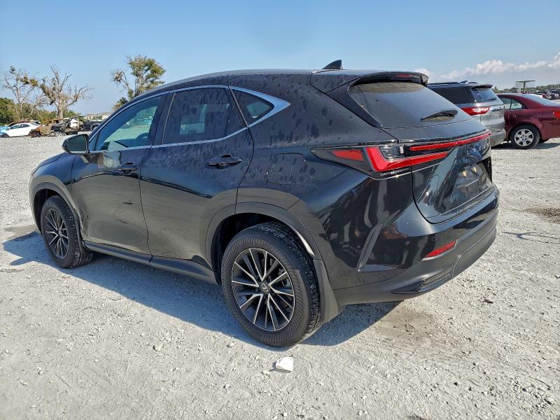 LEXUS NX 250 PREMIUM 2024