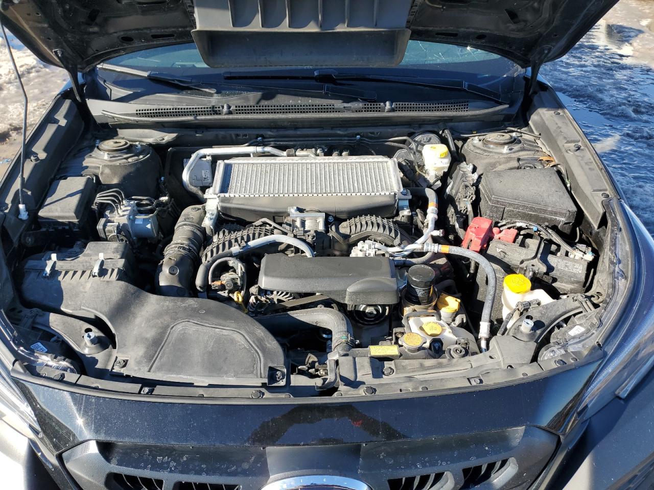SUBARU OUTBACK WILDERNESS 2024