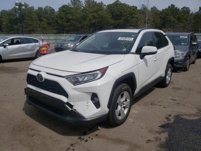 2019 TOYOTA RAV4 XLE