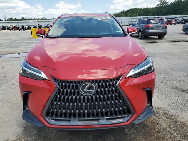 LEXUS NX 350H BASE 2024