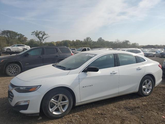 CHEVROLET MALIBU LS 2022