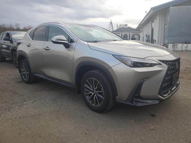 LEXUS NX 350 2022