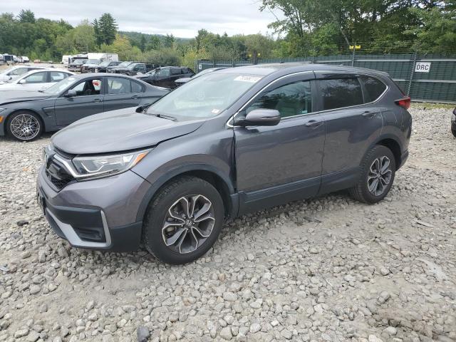 HONDA CR-V EX 2020