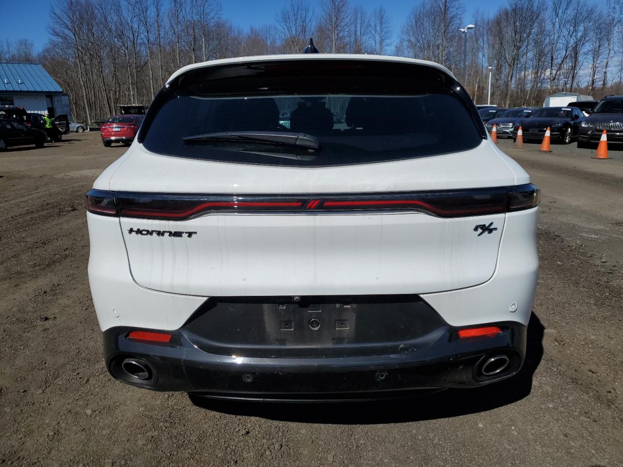DODGE HORNET R/T 2024