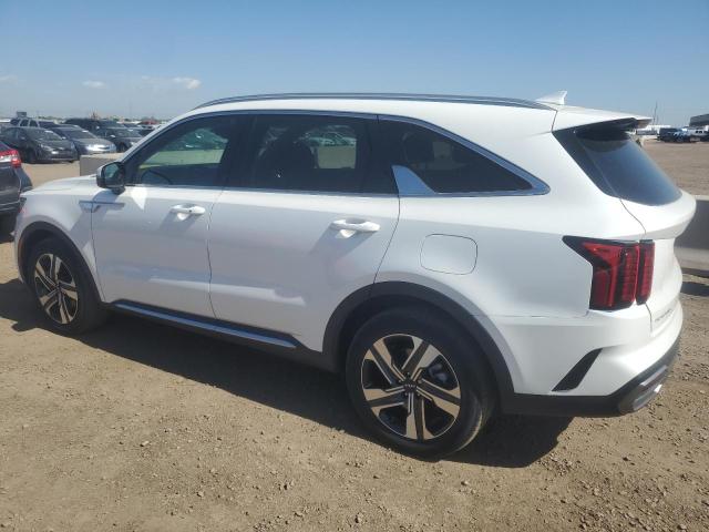 KIA SORENTO EX 2023